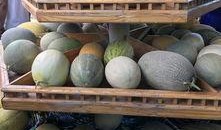 最新吃瓜爆料免费观,免费观剧盛宴来袭！