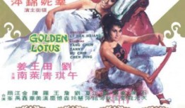 金瓶双艳完整版在线播放观看,激情演绎，经典再现